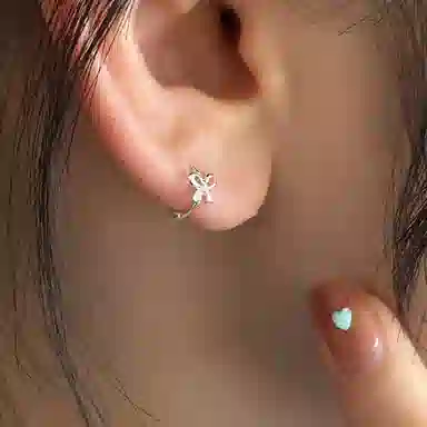 CARAT'SDIARYS925 520