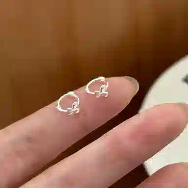 CARAT'SDIARYS925 520