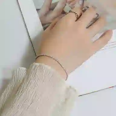 CARAT'SDIARYS925 520