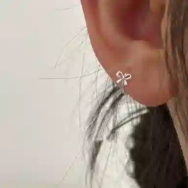 CARAT'SDIARYS925 520