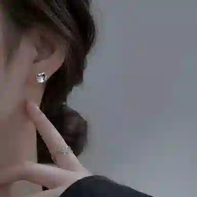 CARAT'SDIARYS925 520