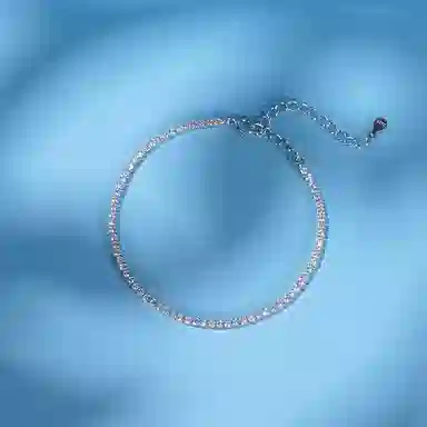 CARAT'SDIARYS925 520