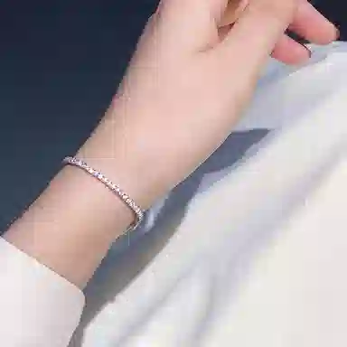 CARAT'SDIARYS925 520