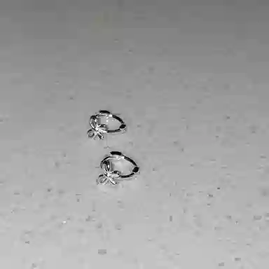 CARAT'SDIARYS925 520