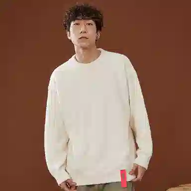 Aolx Vintage Fleece Sweater