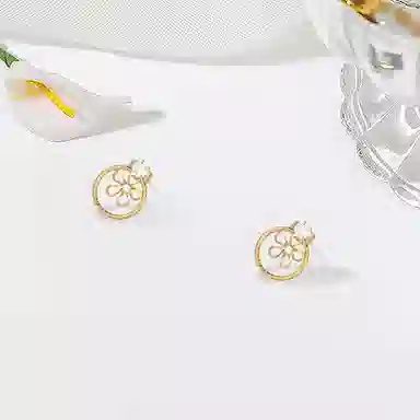 BHI