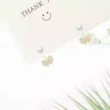 BHI ins