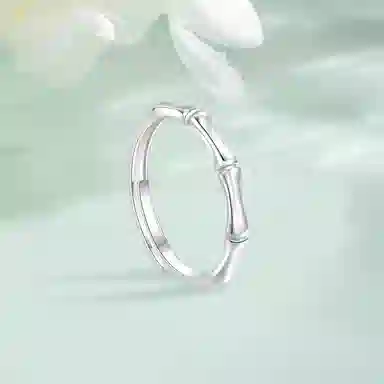 BHI ins