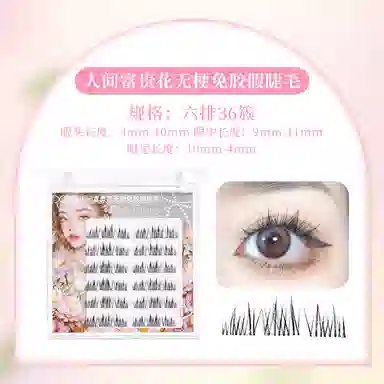 XIXI