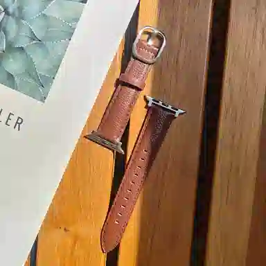 Apple Watch S11S10S9S8S7se