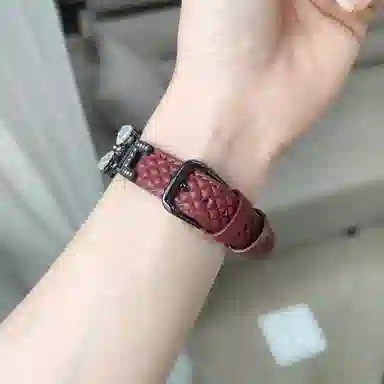 Apple Watch S11S10S9S8S7