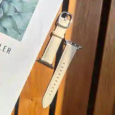 Apple Watch S11S10S9S8S7se