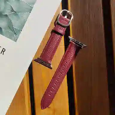 Apple Watch S11S10S9S8S7se