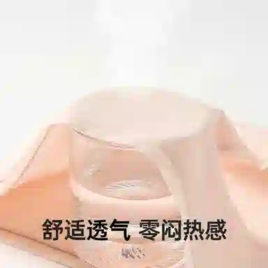 健将 纯棉三角透气中腰夏季内裤 女款