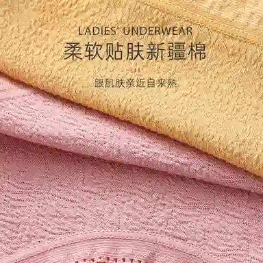 健将 提臀抗菌透气舒适内裤 女款