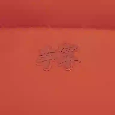 LiNing Sports Trend Logo Hooded Down Jacket