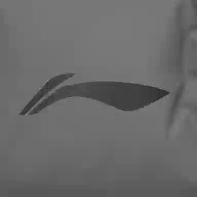 LiNing LOGO