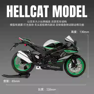 Ninja ZX-10R 19