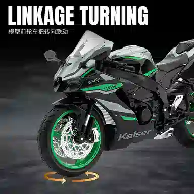 Ninja ZX-10R 19