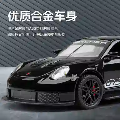 GT3 RS 132