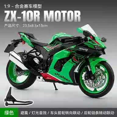 Ninja ZX-10R 19
