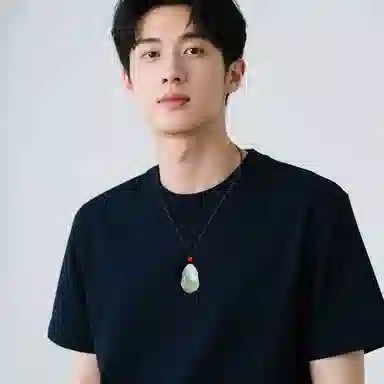 印象眸 玉貔貅 新中式古风经典瑞兽玉吊坠 天山翠 项链 女款 #礼盒