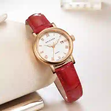 BRIGADA BJD-S30090L-01