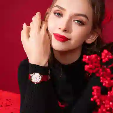 POSCER ins 50113L.REW