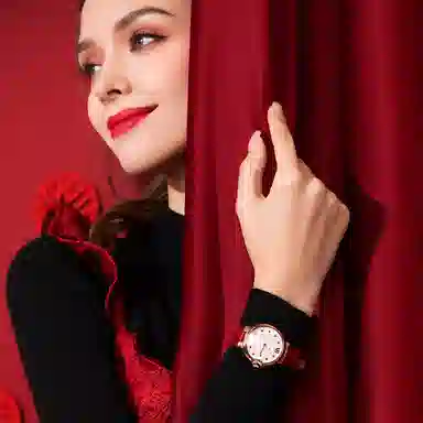 POSCER ins 50113L.REW