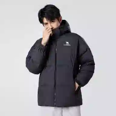 CAMEL Capsule Series