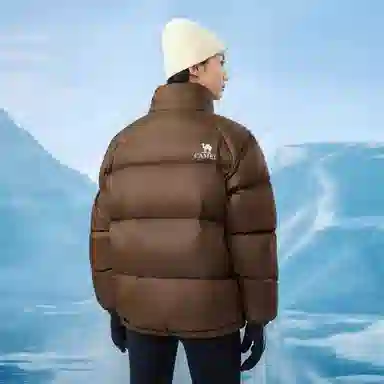 CAMEL