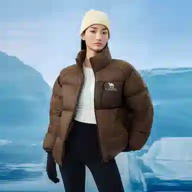 CAMEL