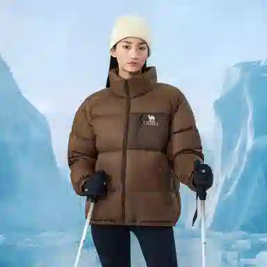 CAMEL