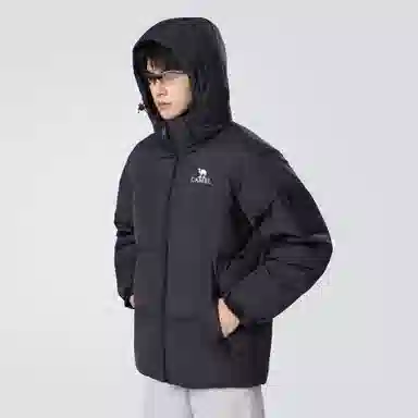 CAMEL Capsule Series