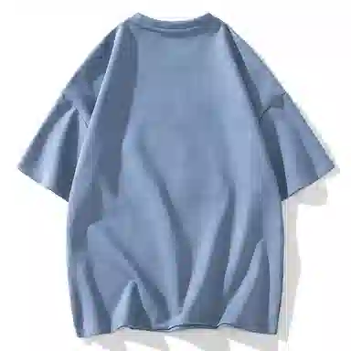 REXSHION T