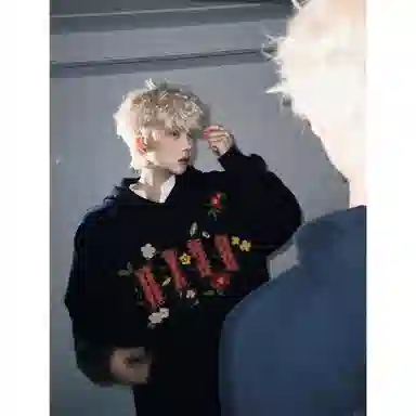REXSHION ins