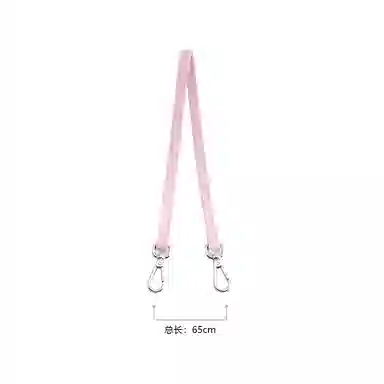 Longchamp Le Pliage 17 Mini