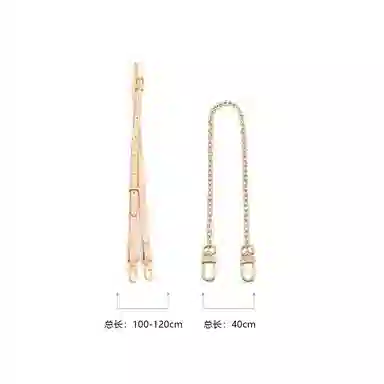 LV Multi Pochette Accessoires