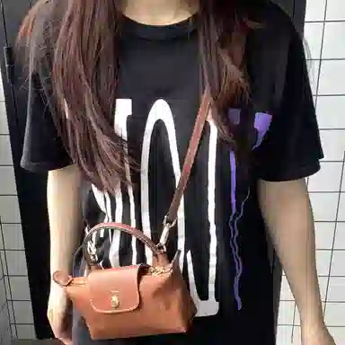 Longchamp Mini