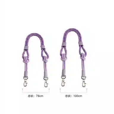 longchamp Le Pliage-17mini