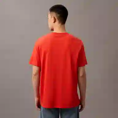 CALVIN KLEIN T
