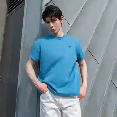 CKCalvin Klein T