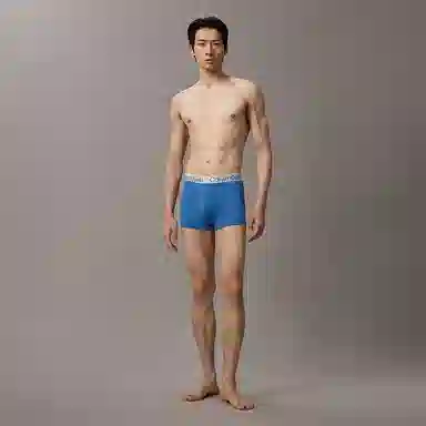 Calvin Klein Boxer Briefs 3-Pack