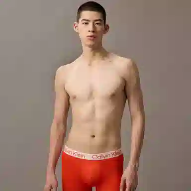 Calvin Klein Boxer Briefs 3-Pack