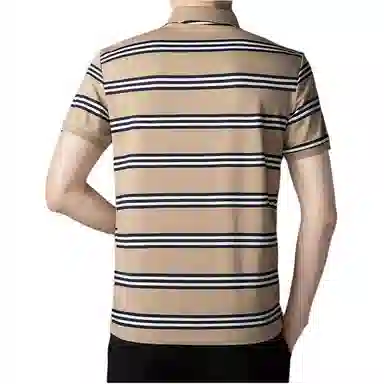 Pierre Cardin Polo Shirt