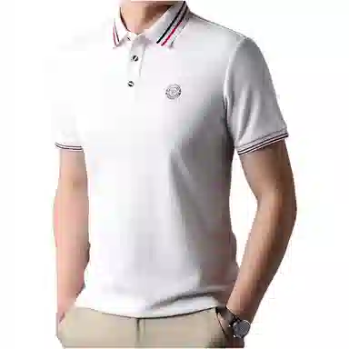 PIERRE CARDIN Polo