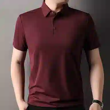 PIERRE CARDIN tPolo