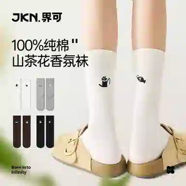 JKN ins2025 4