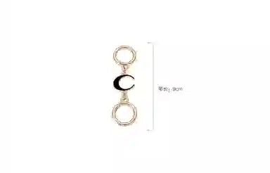 GUYI COACH Aria Shoulder Bag26