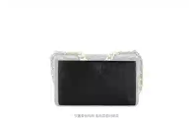 GUYI CHANEL19bag